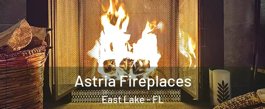  Astria Fireplaces East Lake - FL