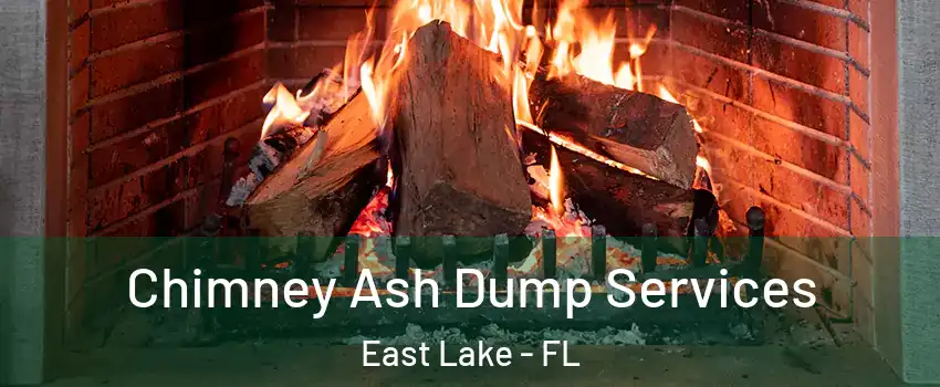  Chimney Ash Dump Services East Lake - FL