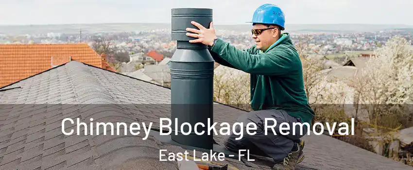  Chimney Blockage Removal East Lake - FL