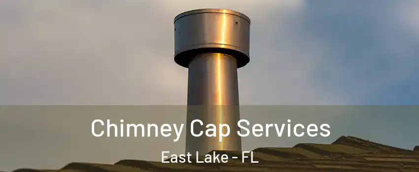  Chimney Cap Services East Lake - FL