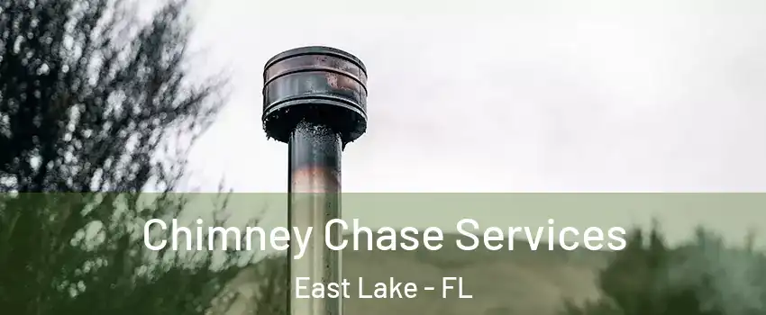  Chimney Chase Services East Lake - FL