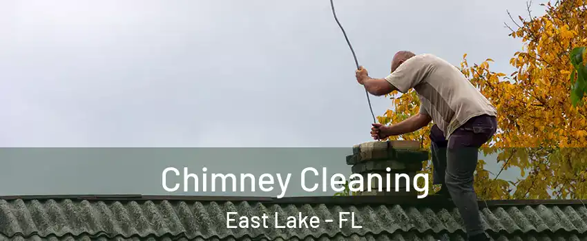  Chimney Cleaning East Lake - FL