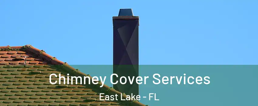  Chimney Cover Services East Lake - FL