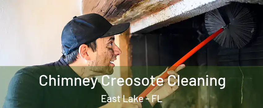  Chimney Creosote Cleaning East Lake - FL