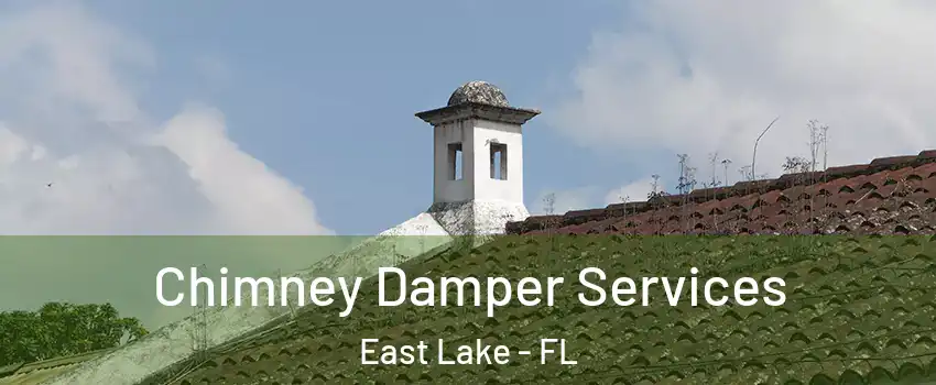  Chimney Damper Services East Lake - FL