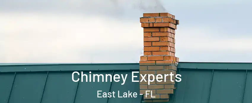  Chimney Experts East Lake - FL