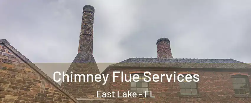  Chimney Flue Services East Lake - FL
