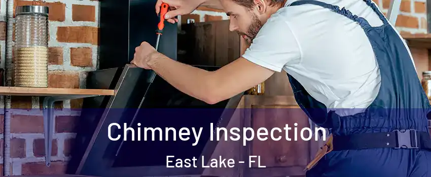  Chimney Inspection East Lake - FL