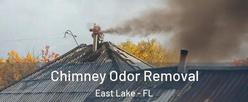  Chimney Odor Removal East Lake - FL