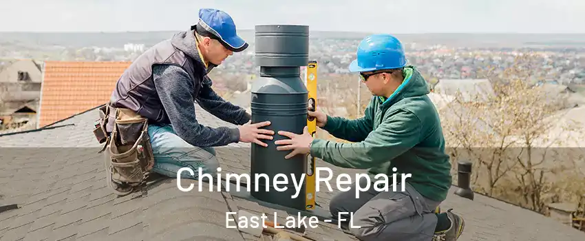  Chimney Repair East Lake - FL
