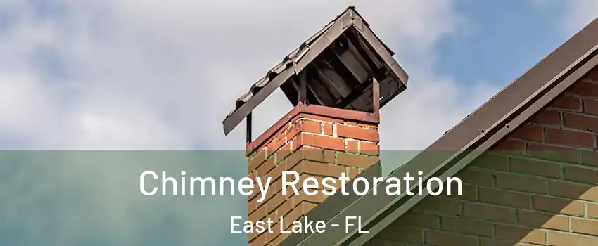  Chimney Restoration East Lake - FL