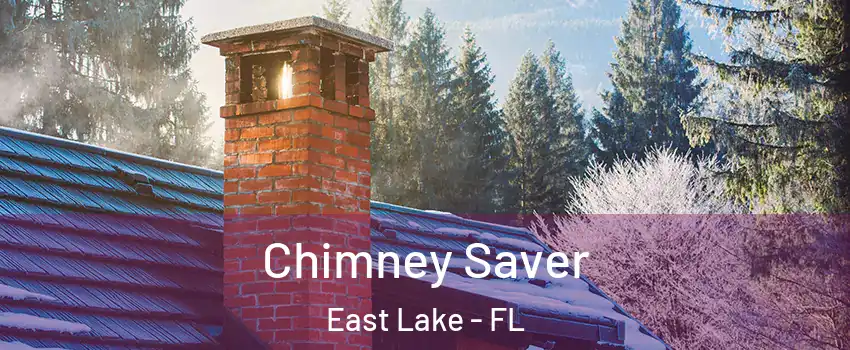  Chimney Saver East Lake - FL