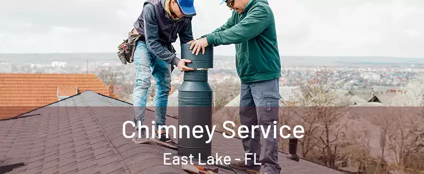  Chimney Service East Lake - FL