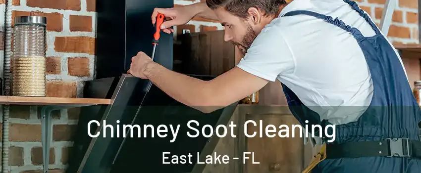  Chimney Soot Cleaning East Lake - FL