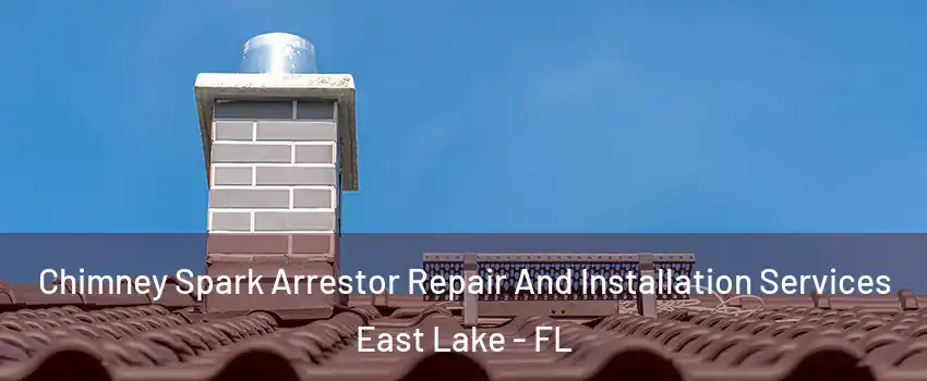  Chimney Spark Arrestor Repair And Installation Services East Lake - FL