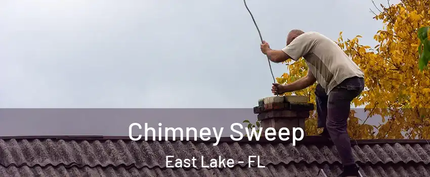  Chimney Sweep East Lake - FL