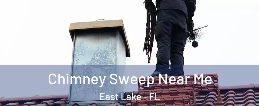  Chimney Sweep Near Me East Lake - FL