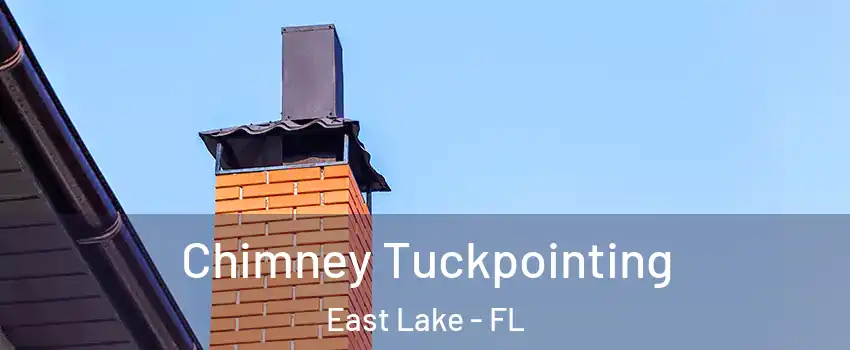  Chimney Tuckpointing East Lake - FL