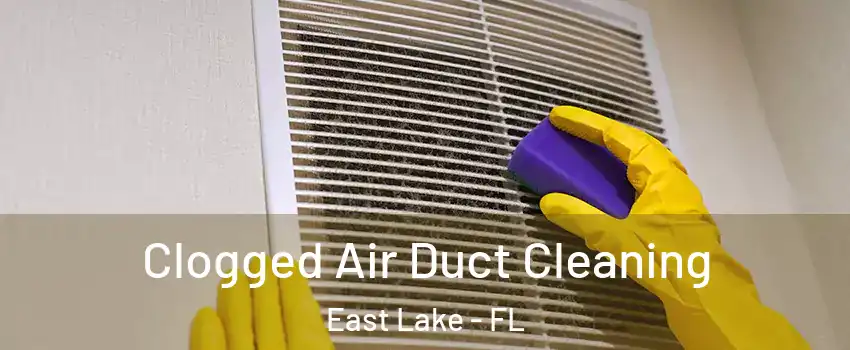  Clogged Air Duct Cleaning East Lake - FL