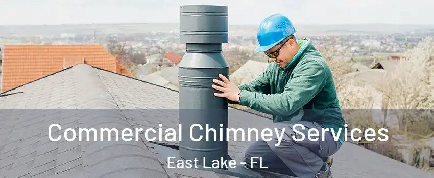  Commercial Chimney Services East Lake - FL