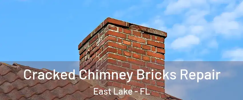  Cracked Chimney Bricks Repair East Lake - FL