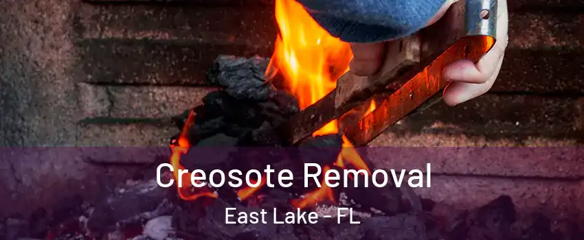  Creosote Removal East Lake - FL