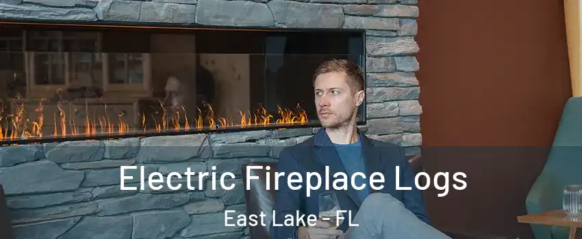  Electric Fireplace Logs East Lake - FL