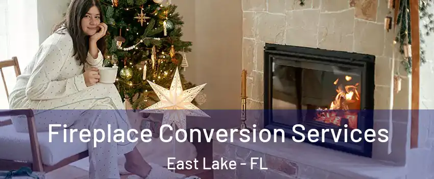  Fireplace Conversion Services East Lake - FL