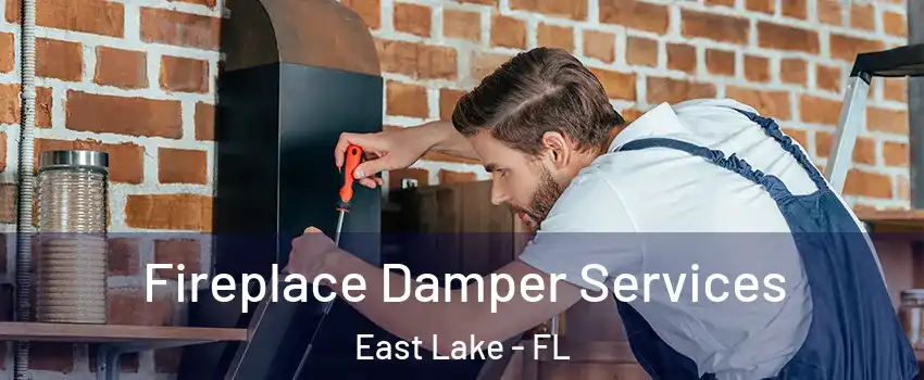  Fireplace Damper Services East Lake - FL