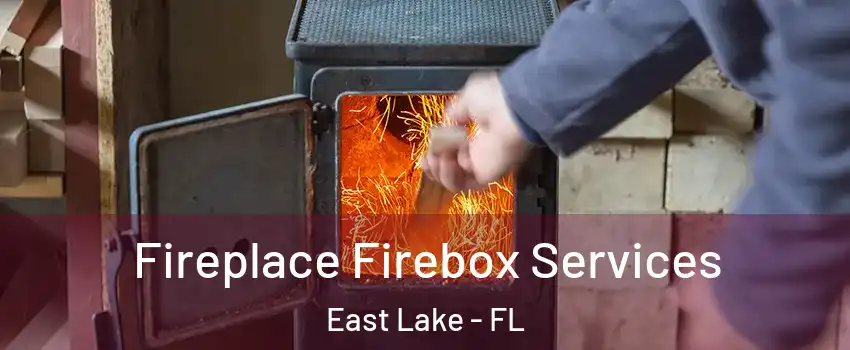  Fireplace Firebox Services East Lake - FL