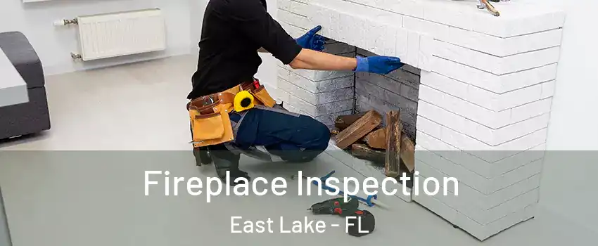  Fireplace Inspection East Lake - FL