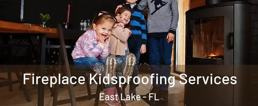  Fireplace Kidsproofing Services East Lake - FL
