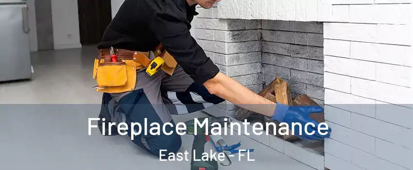 Fireplace Maintenance East Lake - FL