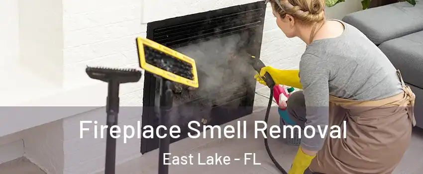  Fireplace Smell Removal East Lake - FL