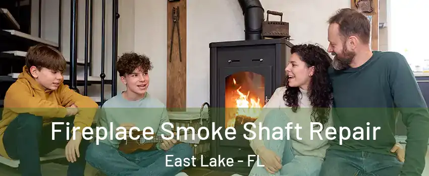  Fireplace Smoke Shaft Repair East Lake - FL