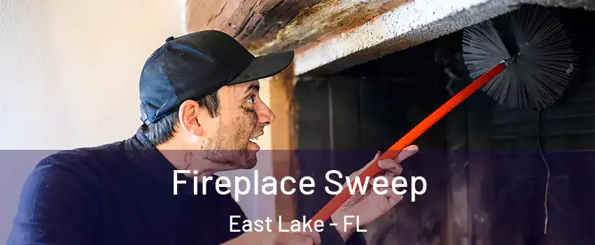  Fireplace Sweep East Lake - FL