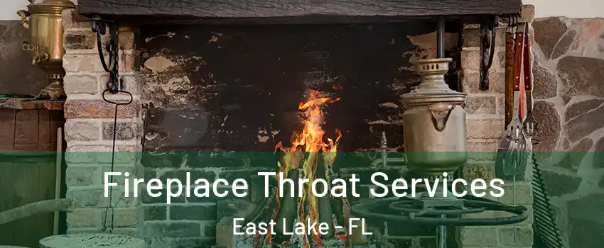 Fireplace Throat Services East Lake - FL