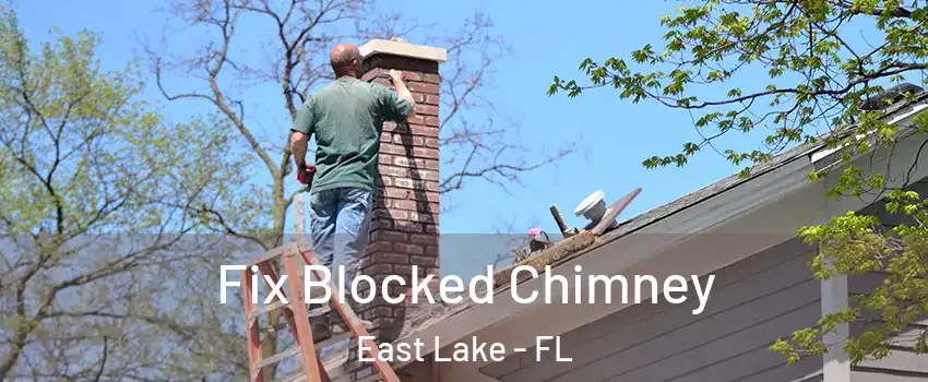  Fix Blocked Chimney East Lake - FL