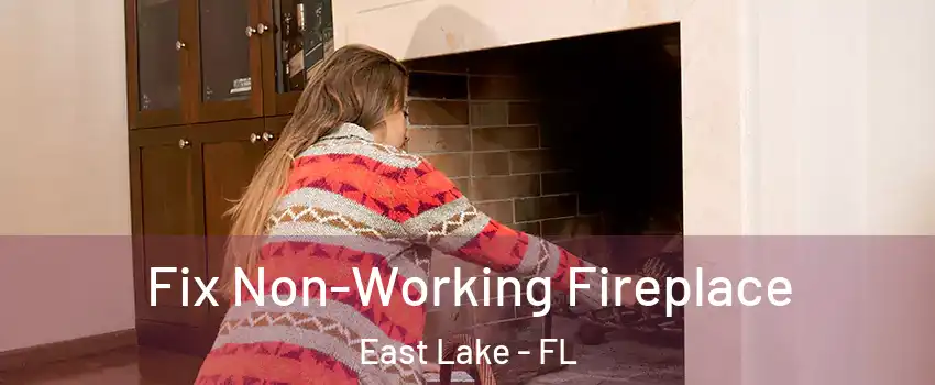 Fix Non-Working Fireplace East Lake - FL