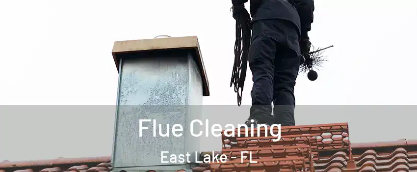  Flue Cleaning East Lake - FL