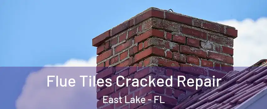  Flue Tiles Cracked Repair East Lake - FL