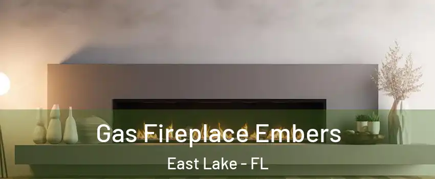 Gas Fireplace Embers East Lake - FL