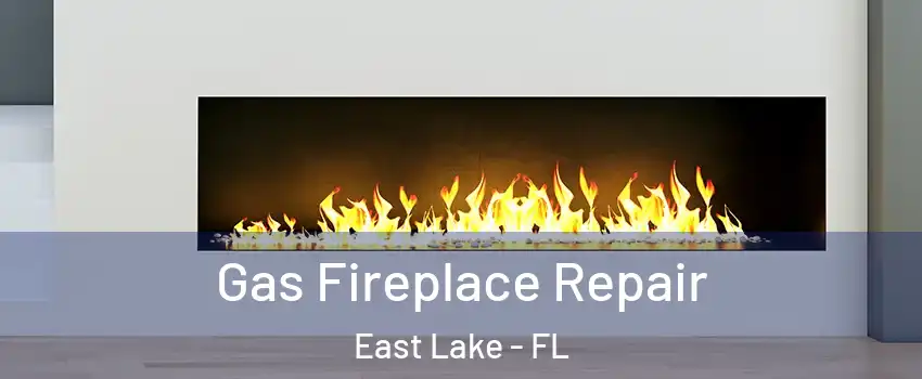  Gas Fireplace Repair East Lake - FL