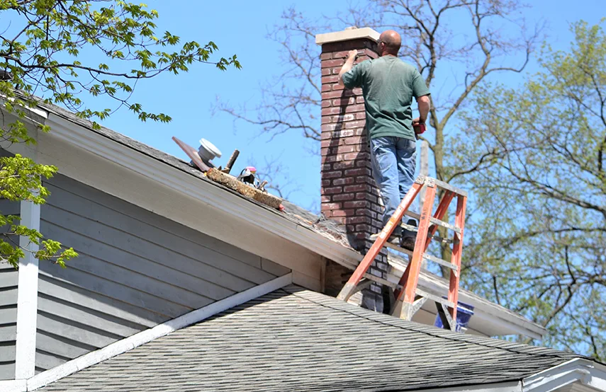 Chimney & Fireplace Inspections Services in East Lake, FL