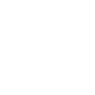 Professional Chimney Flue Installation in East Lake, Florida