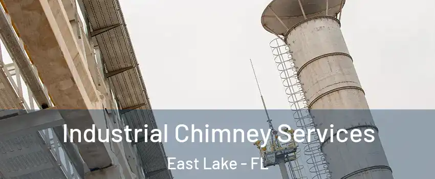  Industrial Chimney Services East Lake - FL