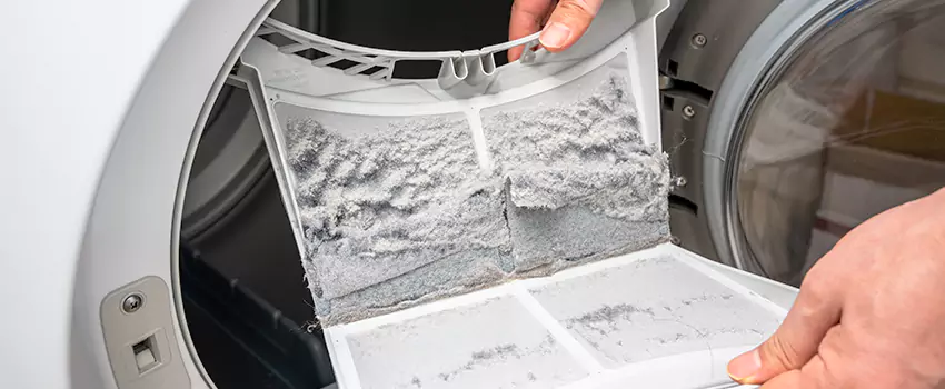 Best Dryer Lint Removal Company in East Lake, Florida