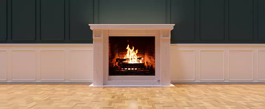 Napoleon Electric Fireplaces Inspection Service in East Lake, Florida