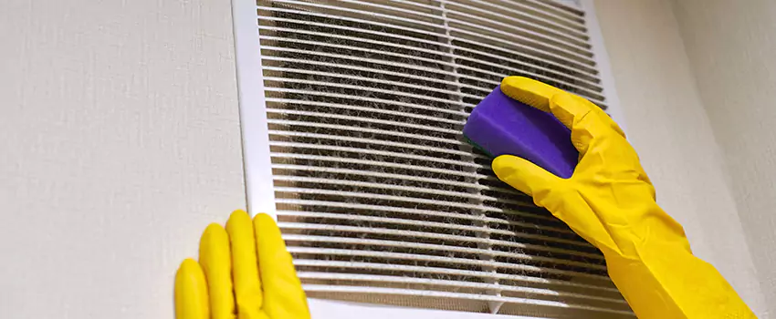 Vent Cleaning Company in East Lake, FL