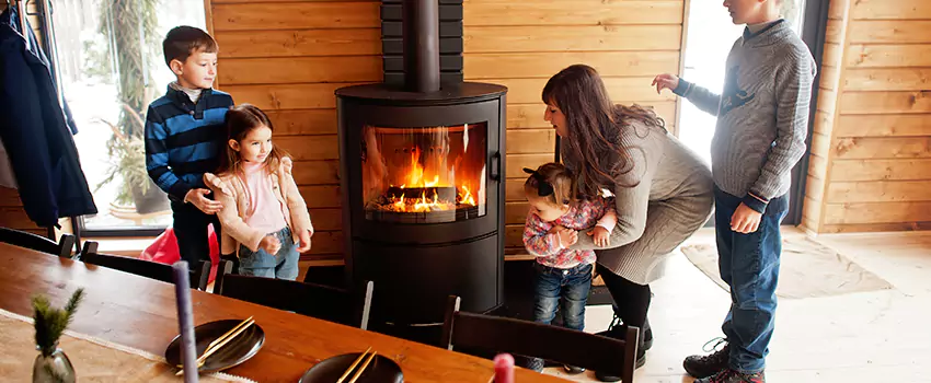 Jøtul Gas Fireplace Inspection Service in East Lake, Florida